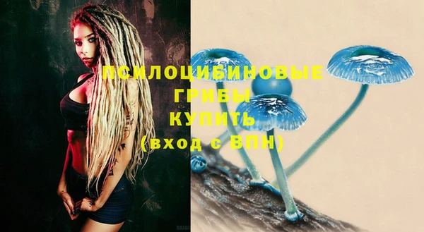 первитин Калининец