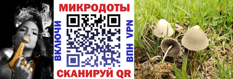 Купить где  Новоузенск  Галлюциногенные грибы мухоморы 